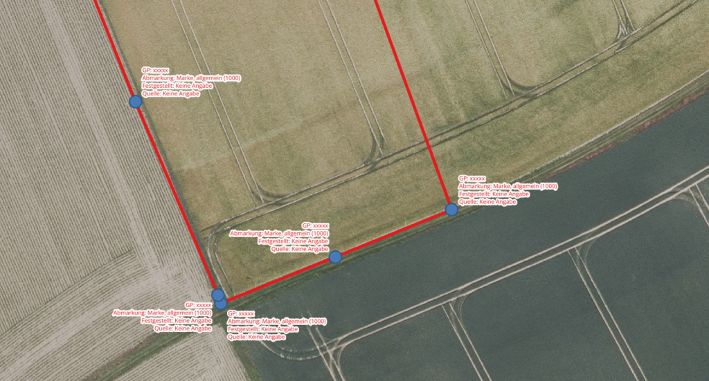 Darstellung von Grenzpunkten und Flurstücksgrenzen in QGIS mit Informationen zu Abmarkung, Punktstatus und Datenquelle.